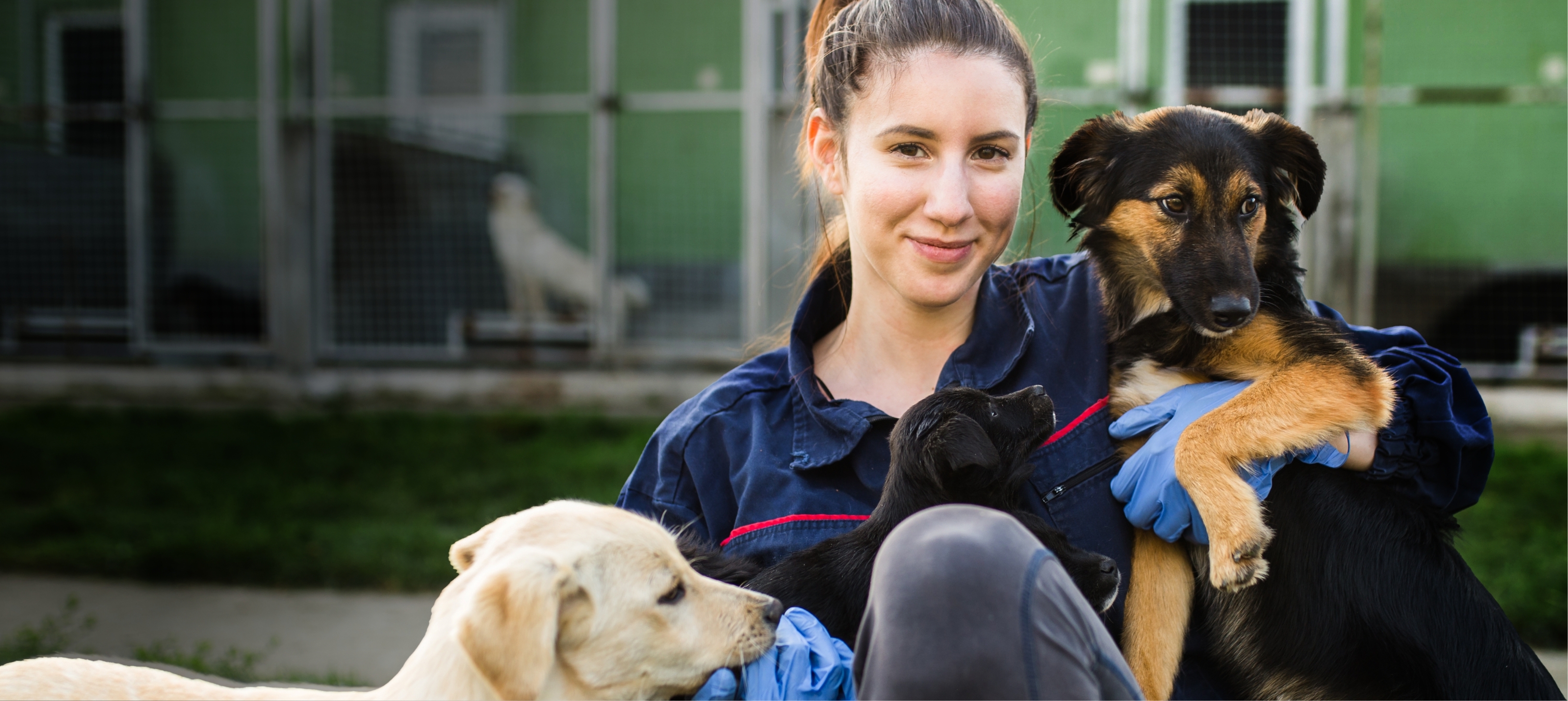 Woman with dogs